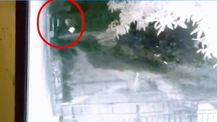 Viral Terekam CCTV, Beberapa Anjing Gelisah Bolak-balik Kejar Sosok Mirip Pocong Melompat