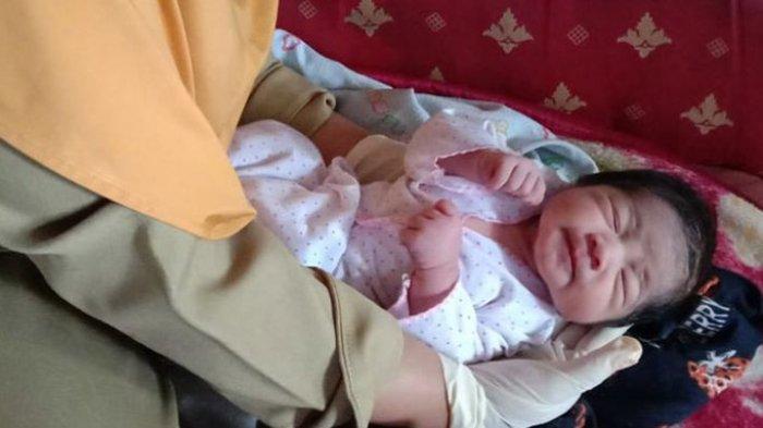 Teganya yang Buang Bayi Cantik Ini, Ditemukan Warga di Tengah Sawah Dalam Kondisi Tanpa Pakaian