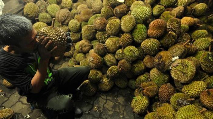 Pesta Durian Wakil Ketua DPR Buat Kerumunan Di Dapil, Rashid Pun Diperiksa Polisi
