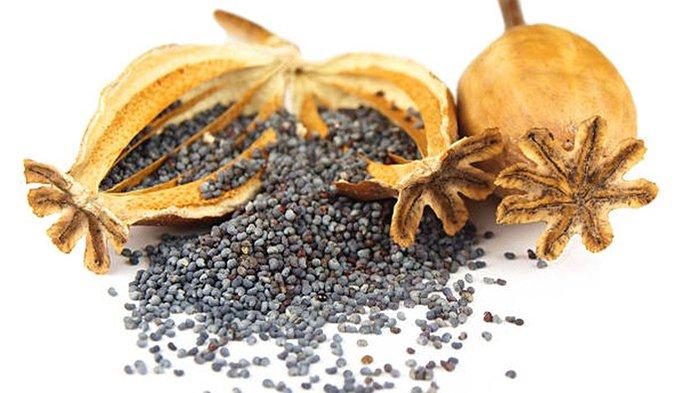 Polisi Mendadak Mabuk Setelah Koki Restoran Mencampur Biji Ini ke Dalam Menu Masakan Pesanannya