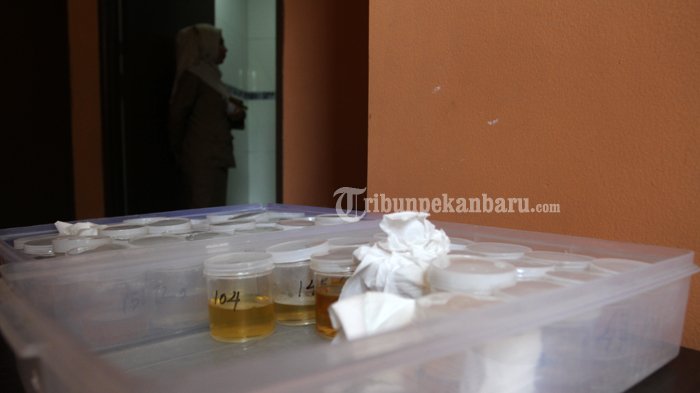 PNS Pelalawan Banyak Terjerat Narkoba, Bupati Harris Siapkan Program Tekan Ketergantungan