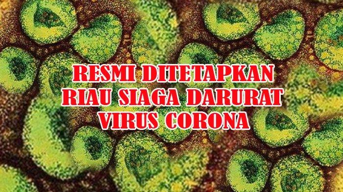 Riau Siaga Darurat Virus Corona , 6 Pasien Suspect Negatif sudah Pulang, 11 Pasien Masih Dirawat