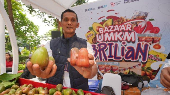 Kisah Pengusaha Jambu di Kudus, Sukses Kembangkan Usaha Berkat Pemberdayaan BRI