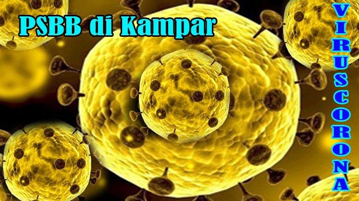 Bupati Kampar Catur Sugeng Susanto : Penerapan PSBB di Kampar Kalau Masyarakat Siap