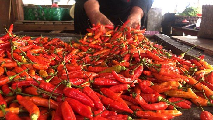 Harga Cabai Meroket di Kepulauan Meranti
