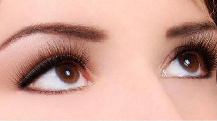 Cara Membuat Bulu Mata Jadi Panjang, Lebat dan Lentik Natural, Gunakan Bahan Alami Ini
