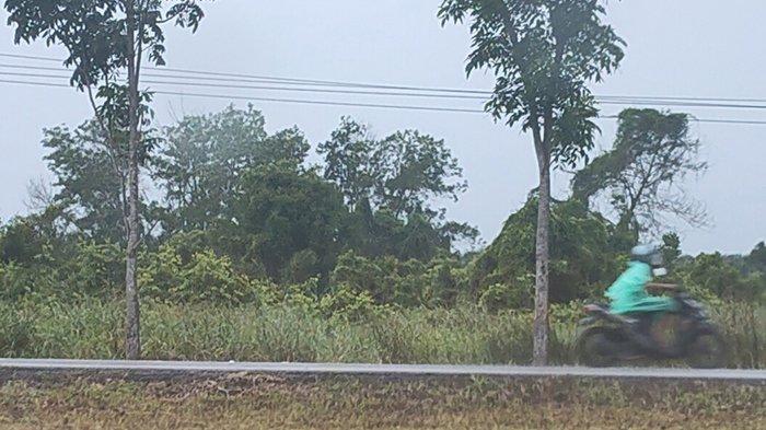 Disertai Petir dan Angin Kencang, Curah Hujan Tinggi di Pelalawan, Warga Diminta Waspada