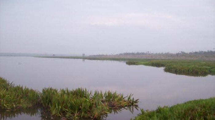 Ramaikan Festival Danau Napangga, Cocok untuk Libur Akhir Pekan