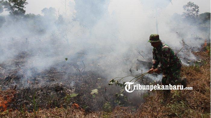 Kebakaran Lahan di Riau Sudah 5.306 Hektare, BPBD Sebut Masih Terus Meluas