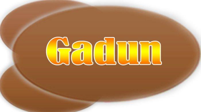 Kata-kata Gaul 2021, Gadun, Arti Gadun, Gadun Artinya dalam Kamus Bahasa Gaul 2021