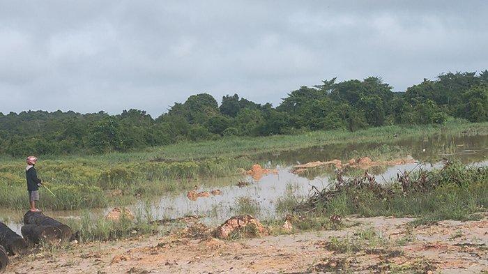 BPBD Pelalawan Klaim Belum Ada Laporan Banjir dan Longsor Meski Curah Hujan Tinggi