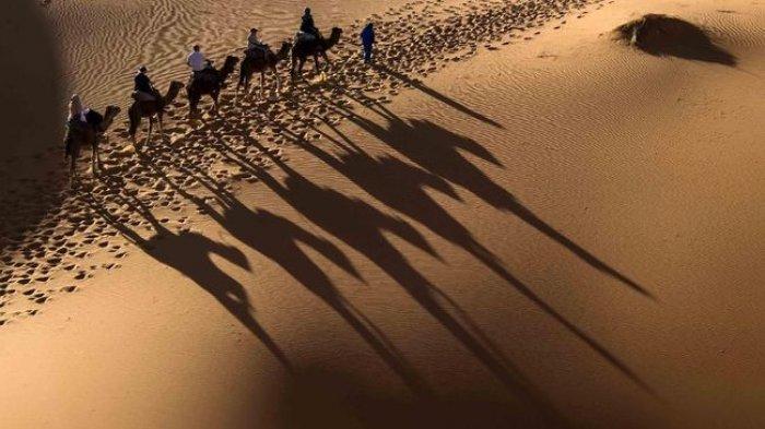 Ada Apa dengan Gurun Sahara Sampai Viral di Tiktok, Netizen Sampai Cari di Google Maps Street View