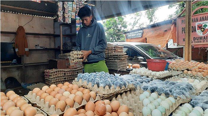 Ampun! Emak-emak di Dumai Kelimpungan, BBM Naik, Harga Telur Meroket, Cabai Merah Mendadak Melonjak