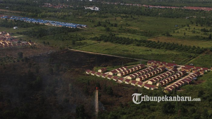 6 Tersangka PEMBAKAR LAHAN Ditangkap, BNPB Pusat Tambah Satu Helikopter untuk Atasi Karhutla di Riau