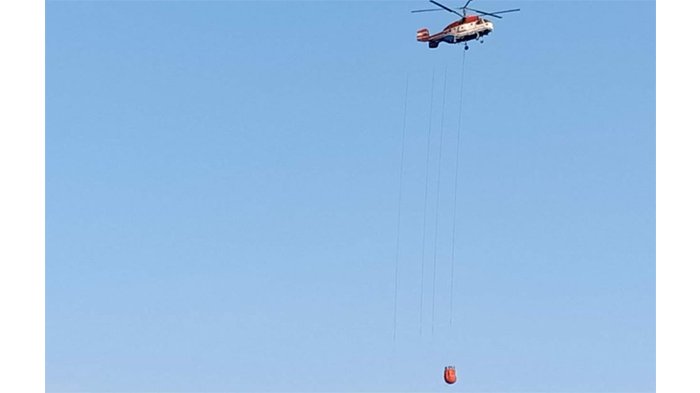 Water Bombing Bikin Pemadaman Cepat, BPBD Inhil Tinggalkan Lokasi Karhutla di Pulau Burung