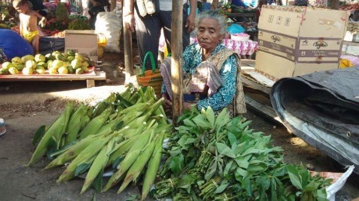 Anaknya Seorang BUPATI di NTT, Ibu Tua Ini Masih Saja Bertani & Berjualan Sayur di Pasar Tradisional