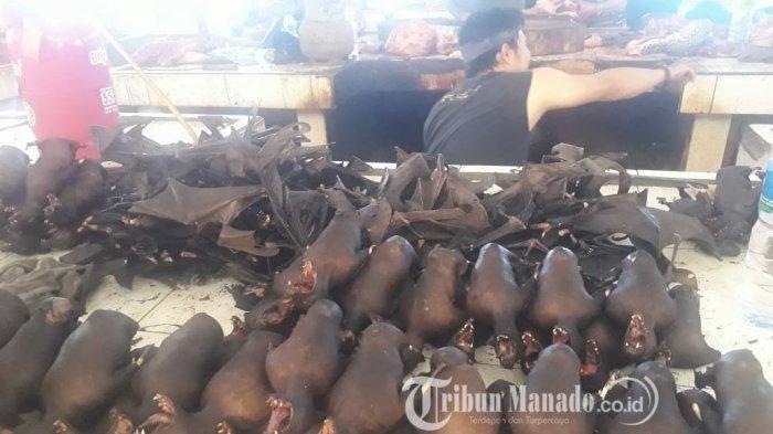 Sama-sama Menjual Kelelawar Seperti di Wuhan, China, Asal Virus Corona, Ini Perbedaan Pasar Tomohon