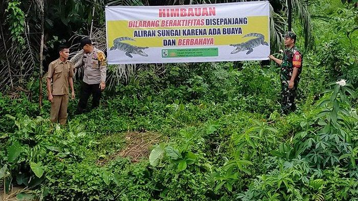 Buaya Dikabarkan Muncul di Sungai Semundam Bikin Warga Pelalawan Resah, Polisi dan BPBD Turun