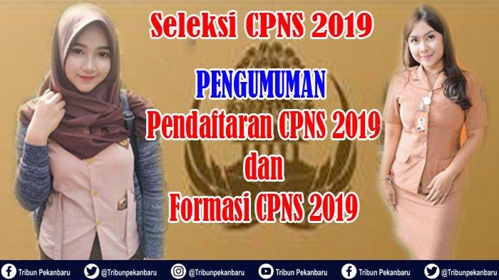 JADWAL Seleksi CPNS 2019 Kabupaten dan Kota di Riau, BKP2D Pelalawan Umumkan Penerimaan CPNS 2019