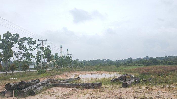 Waspada Banjir dan Jalan Licin, Pelalawan Diguyur Hujan 3 Hari Terakhir, Ini Imbauan BPBD