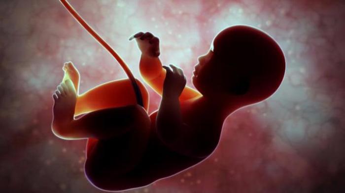 Plasenta Dijual Di Pasar Gelap China, Warga Tiongkok Percaya Jika Sup Ari-ari Bayi Jadi Obat Manjur