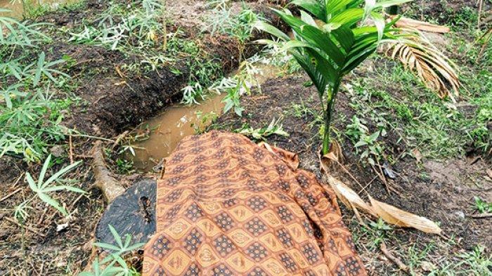 Suami Aniaya Istri, Setelah Korban Meninggal Tutup Jasadnya dengan Potongan Rumput
