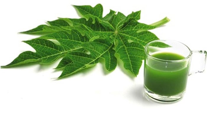 Baik untuk Hati & Menstruasi, Inilah 7 Manfaat atau Khasiat Konsumsi Daun Pepaya