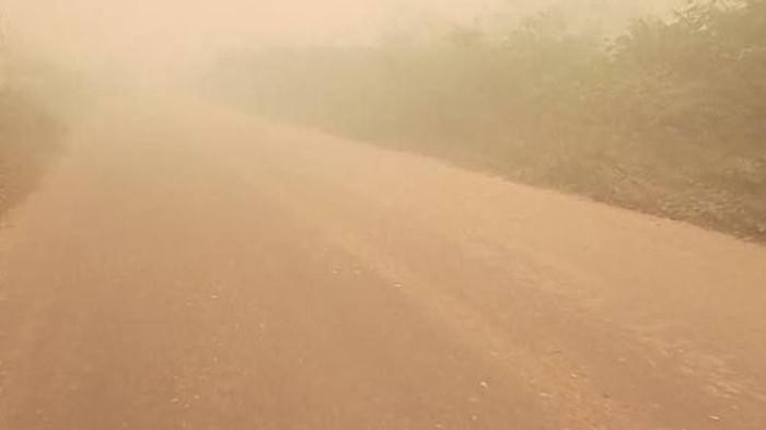 Kabut Asap Selimuti Sejumlah Wilayah di Rohil
