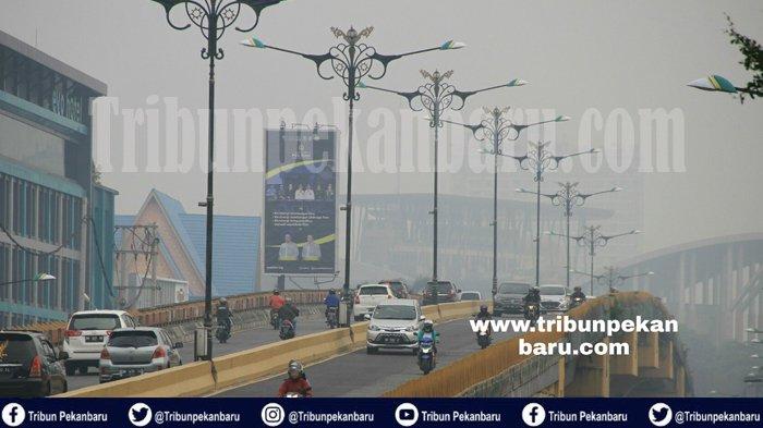 Kabut Asap Selimuti Kota Pekanbaru, Pemerintah Daerah Diminta Serius Tangani Karhutla di Riau