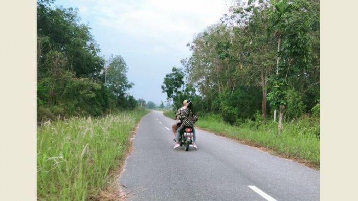 Kabut Asap Menyelimuti Pekanbaru Pagi Ini, Tercium Bau Menyengat