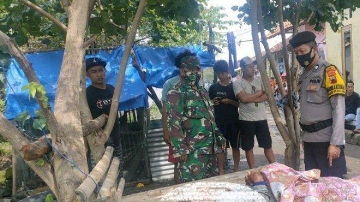 Sempat Teriak Ya Allah, Kakek 62 Tahun Meregang Nyawa Usai Disengat Lebah, Kondisinya Merinding