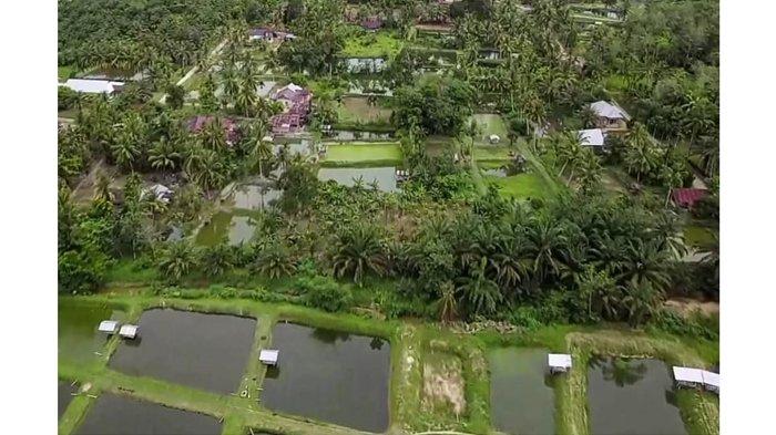 Kampung Patin Desa Wisata Koto Mesjid Kampar Riau Lolos 50 Besar ADWI 2021, Apa Keistimewaannya?
