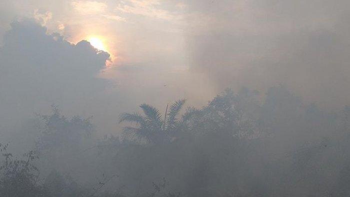 Jikalahari Sebut Hotspot Muncul di Lahan Milik Perusahaan