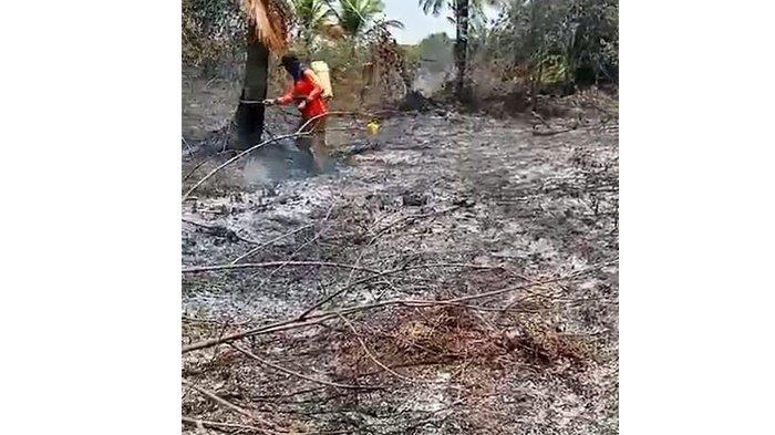 Dua Titik Karhutla Sempat Muncul di Kecamatan Siak Kecil Bengkalis dan Bandar Laksamana