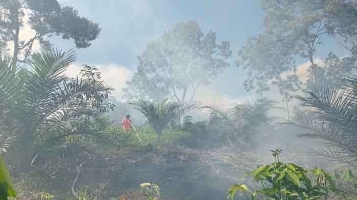 Panas Terik Matahari, Kasus Karhutla Bertambah Tiap Hari di Kampar