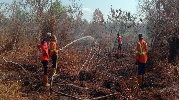 Dua Bulan Lebih, Luas Lahan Terbakar di Riau Capai 123 Haktare