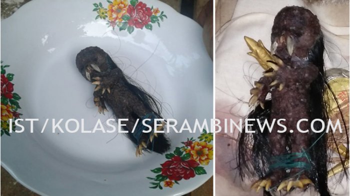 Asal Usul Jenglot, Makhluk Haus Darah yang Dipercaya Punya Kekuatan nan Misterius