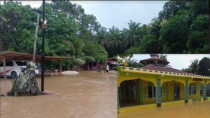 Kebun Sawit Sekitar Sungai Milik Perusahaan Ini Dituding Sebabkan Banjir, DLH Kampar Bungkam