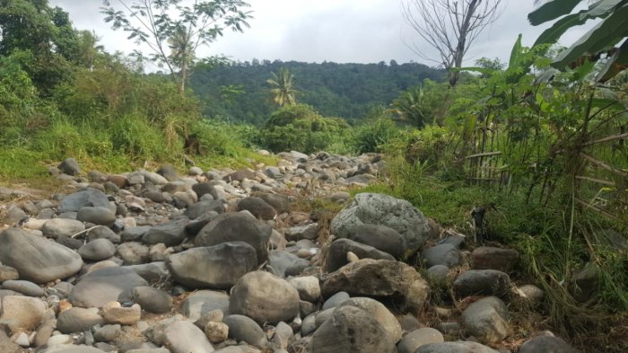 DLH Provinsi Sumbar Tindak Lanjuti Penutupan Sungai Gurun Kudu