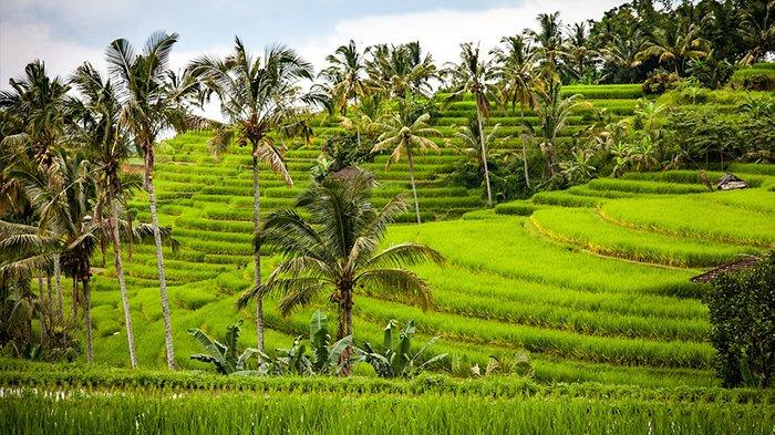 Kumpulan Lagu Pahlawan 10 November , Lirik Lengkap Lagu Indonesia Pusaka