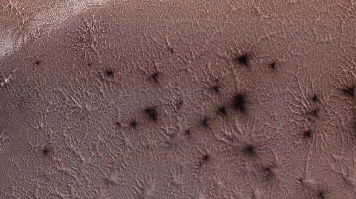 Kamera Satelit Temukan Pola Alien Mirip Laba-laba di Planet Mars, Sekelompok Ilmuan Lakukan Analisa