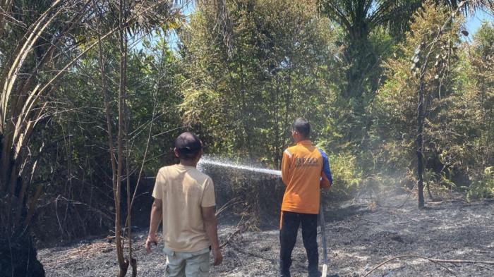 BPBD Pekanbaru Berjibaku Padamkan 9 Kebakaran Lahan Sehari