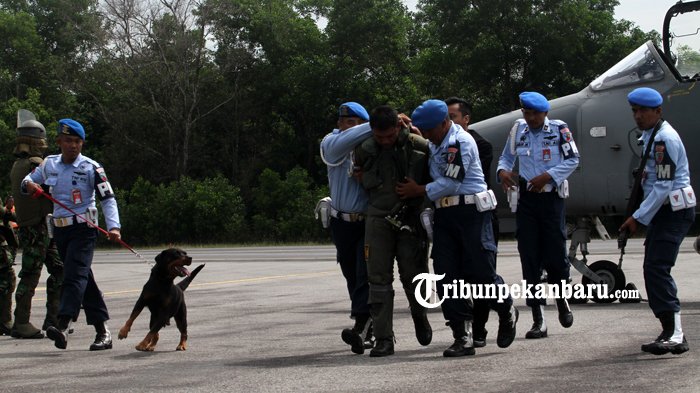 Masuki Udara Indonesia Tanpa Izin 2 Jet Tempur Lanud Rsn Pekanbaru Paksa Turun Pesawat Tempur Asing - latihan_20180424_173507.jpg