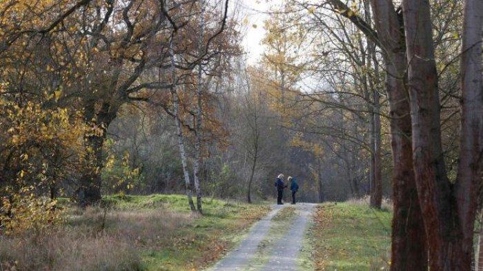 Usai Bercinta, Guru SMP Gergaji Jasad Kekasihnya Lalu Disimpan di Kulkas