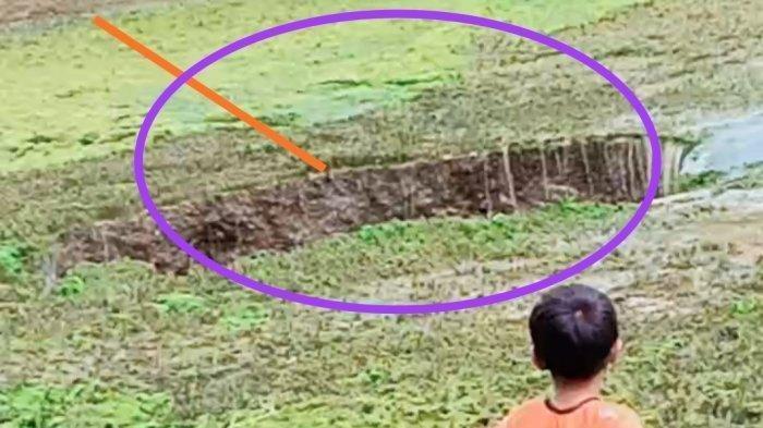 Heboh Muncul Lubang Misterius di Tengah Danau Kecil Sukabumi, Air Mengering Ikan Mendadak Raib