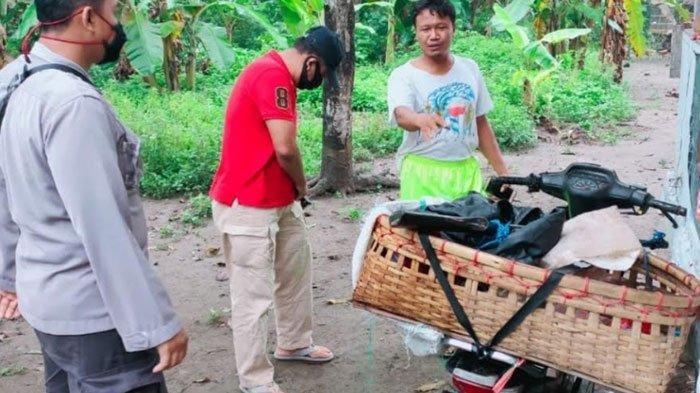 Apes, Gagal Bawa Kambing yang Dicuri, Maling Ini Malah Kabur Tinggalkan Motor dan Ponselnya