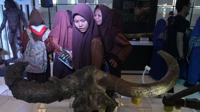 FOTO : Begini Penampakan Manusia Purba Sangiran di Sadira Plaza Pekanbaru - manusia-purba-sangiran_20171101_203650.jpg