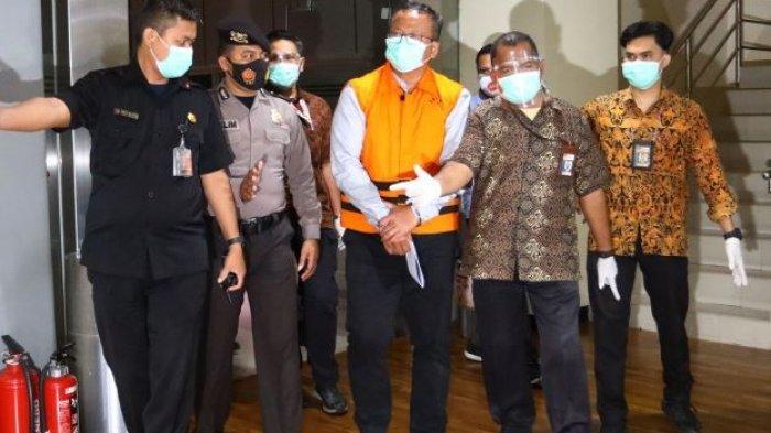 Ini Alasan Susi Pudjiastuti Dulu Melarang Ekspor Benih Lobster saat Menjadi Menteri KKP
