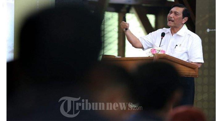 Menko Luhut Turun Tangan, Presiden Jokowi Menunjuknya Gantikan Edhy Prabowo Sebagai Menteri KKP