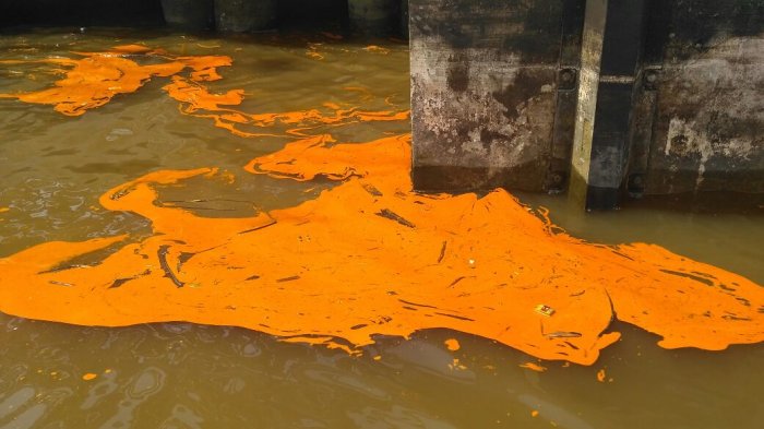 KSOP Dumai Sebut PT.Nagamas Palm Oil Tidak Punya Alat Bersihkan Tumpahan Stearin